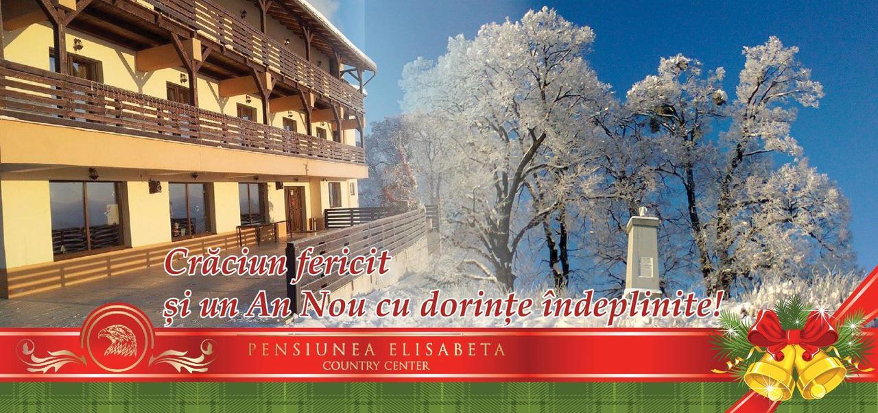 Pensiunea Elisabeta Merghindeal Exterior foto