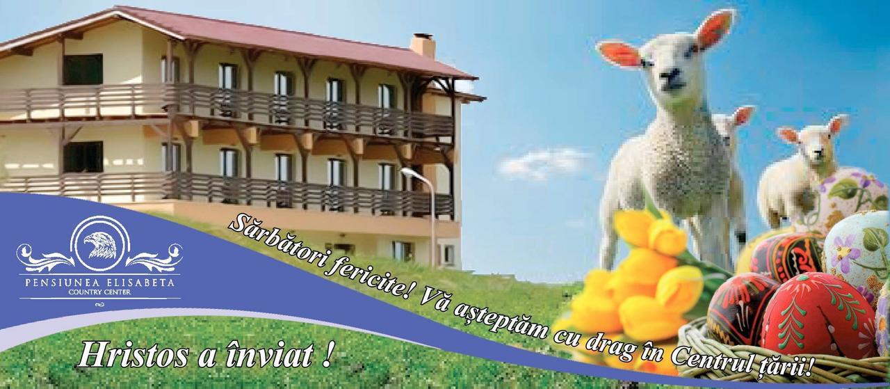 Pensiunea Elisabeta Merghindeal Exterior foto